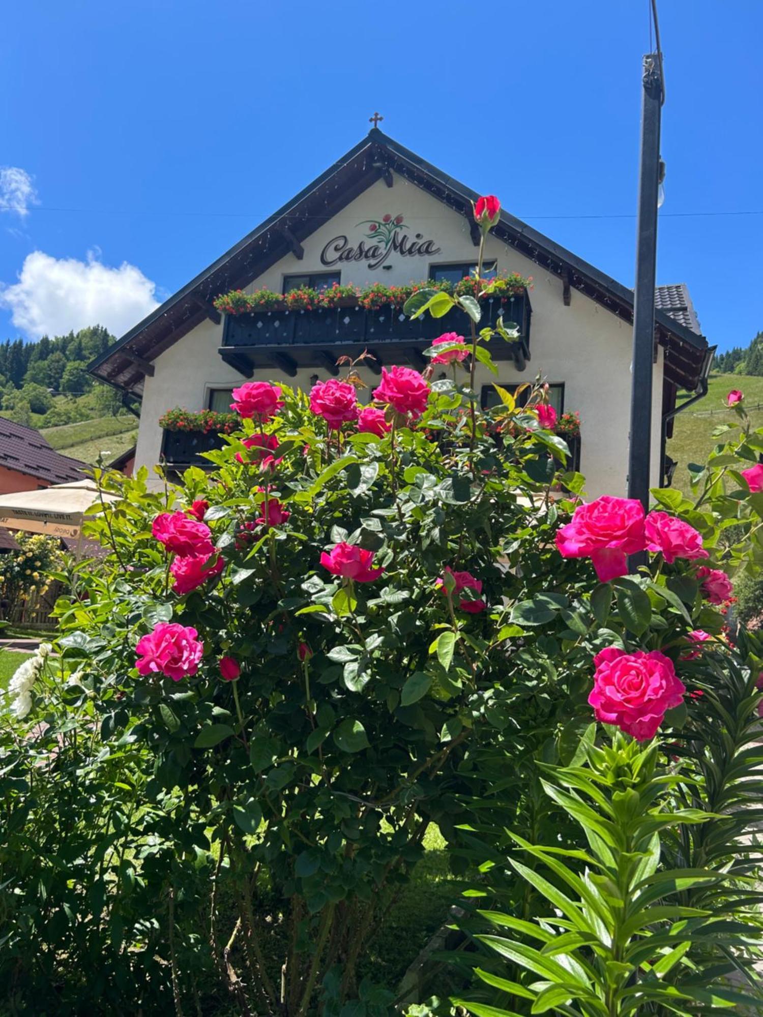 Hotel Casa Mia à Moeciu De Sus Extérieur photo