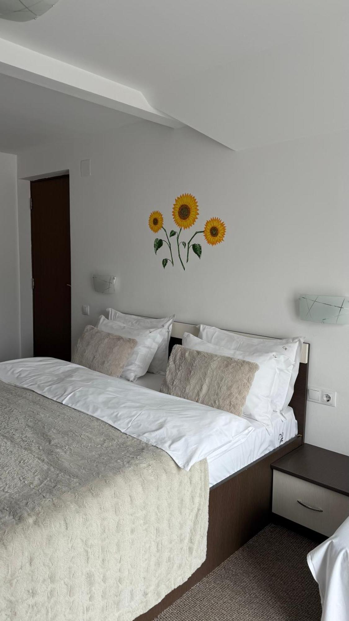 Hotel Casa Mia à Moeciu De Sus Extérieur photo